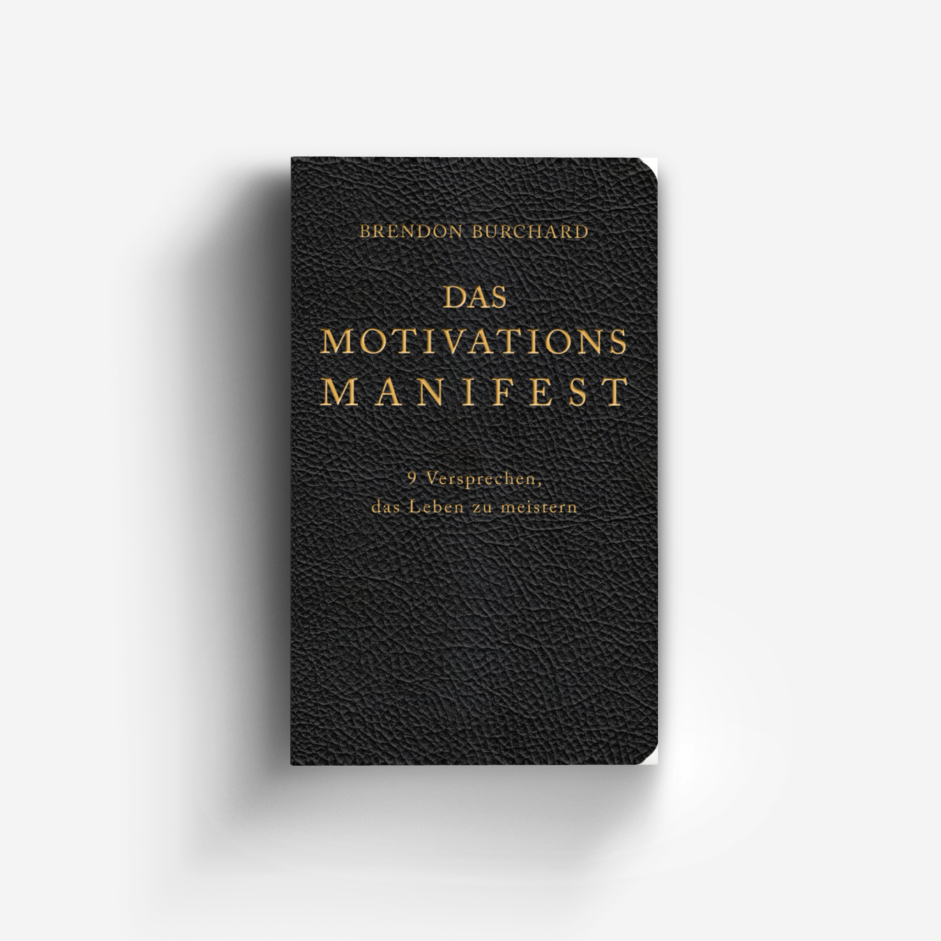 Buchcover von Das MotivationsManifest