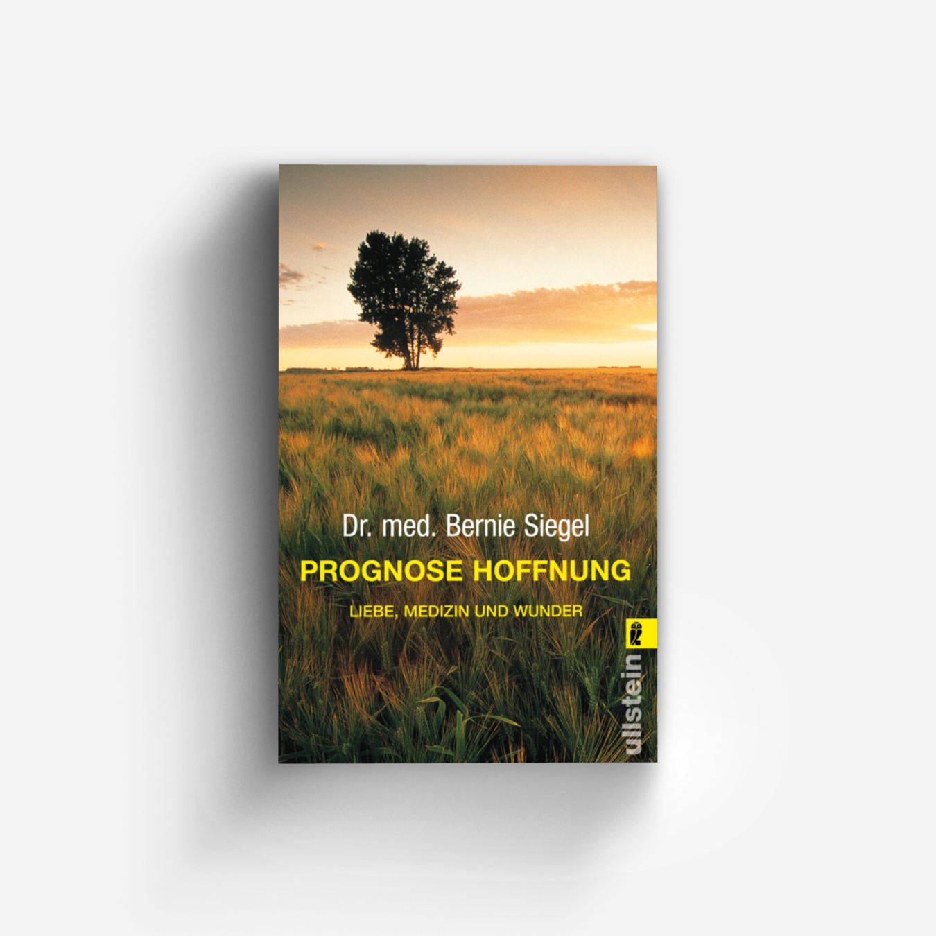 Buchcover von Prognose Hoffnung