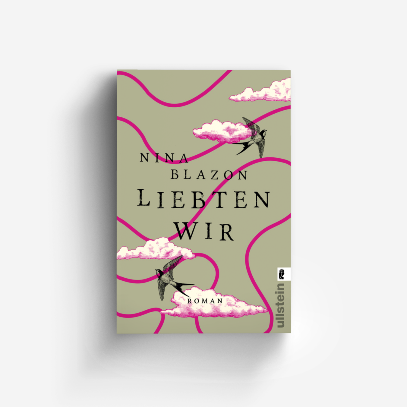 Buchcover von Liebten wir