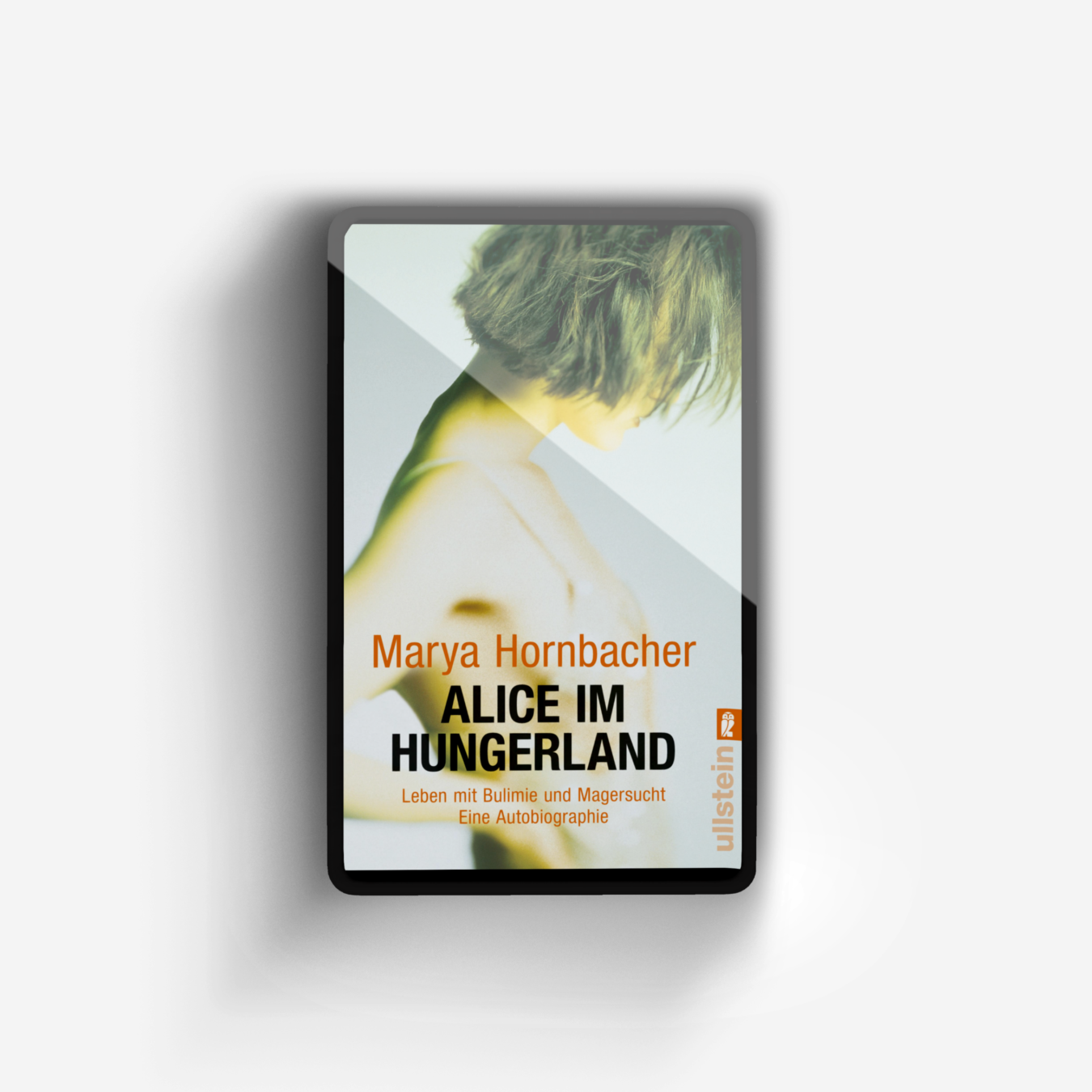 Buchcover von Alice im Hungerland