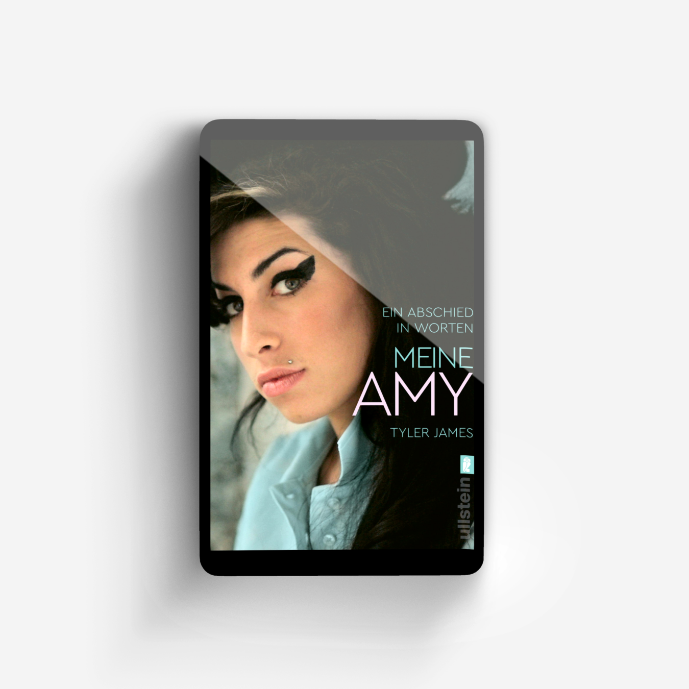 Buchcover von Meine Amy