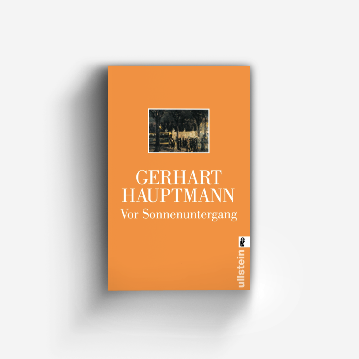 Buchcover von Vor Sonnenuntergang