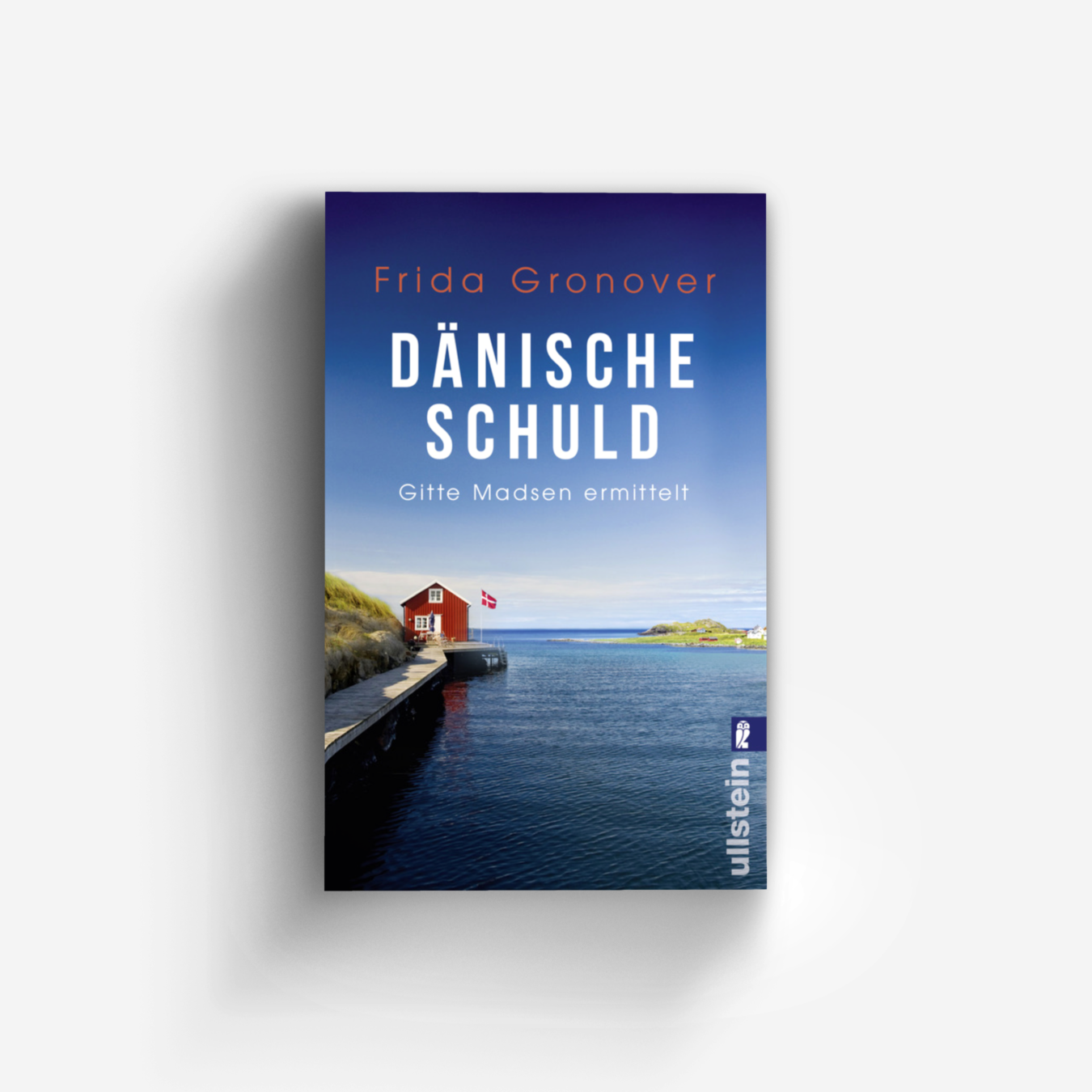 Buchcover von Dänische Schuld (Ein Gitte-Madsen-Krimi 2)