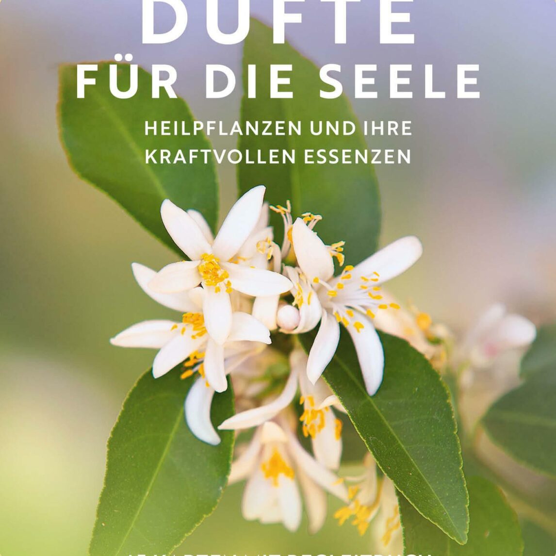 Buchcover von Düfte für die Seele