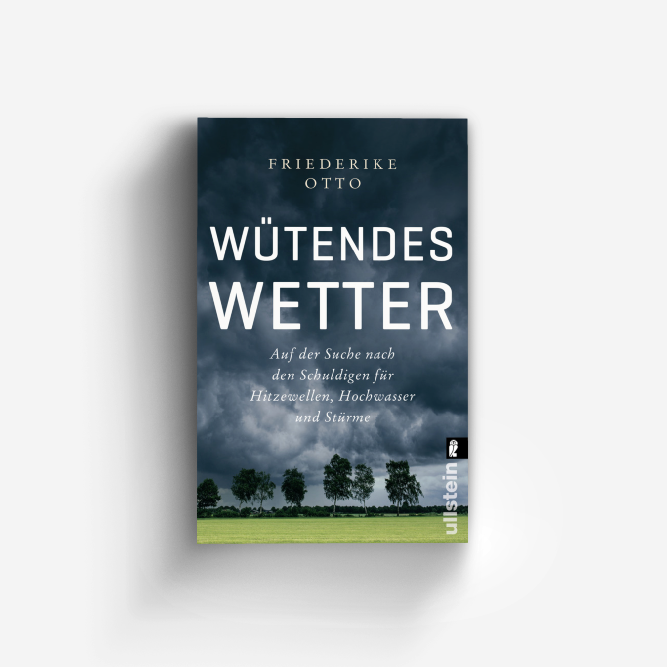 Buchcover von Wütendes Wetter