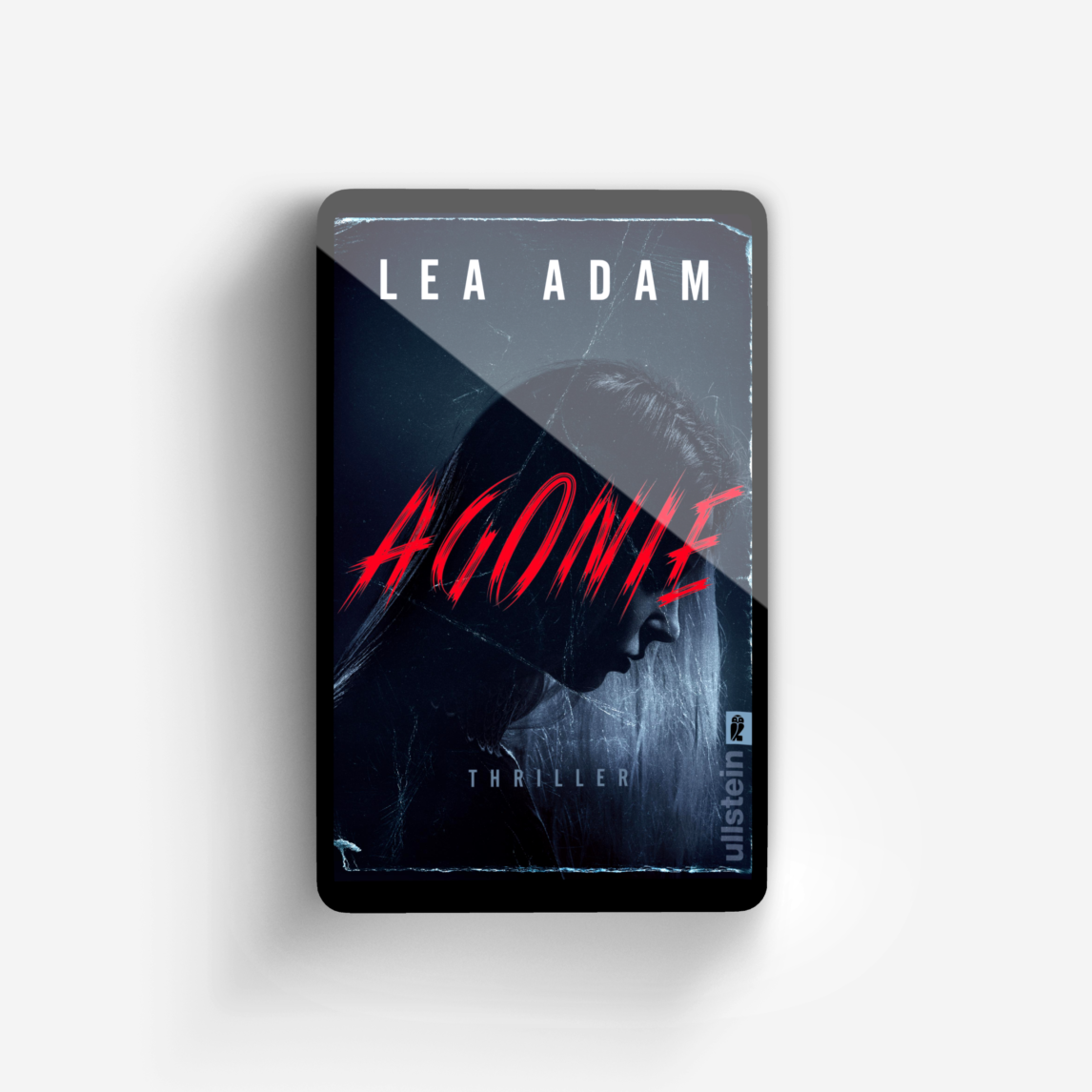 Buchcover von Agonie (Milosevic und Frey ermitteln 2)