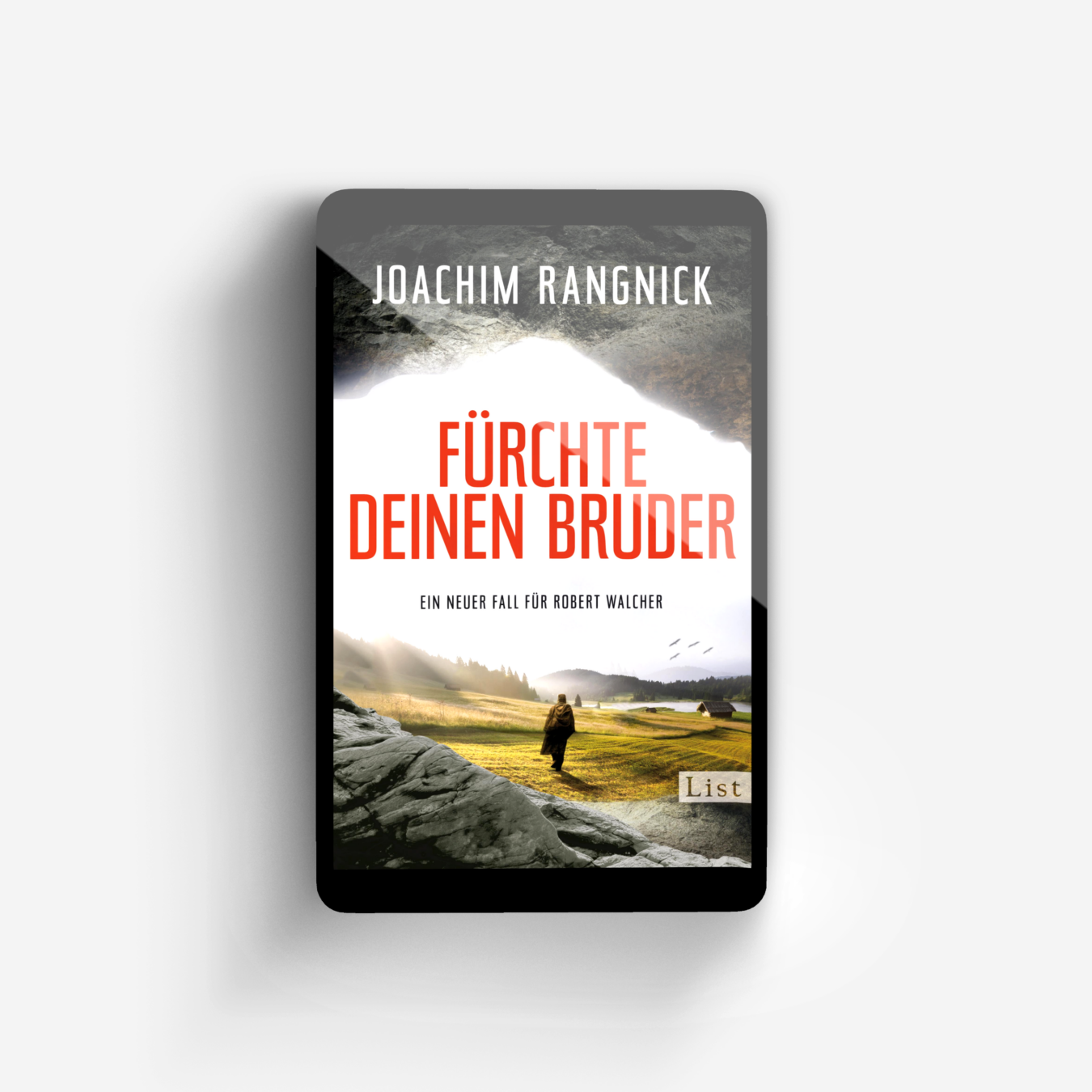 Buchcover von Fürchte deinen Bruder (Ein Robert-Walcher-Krimi 10)