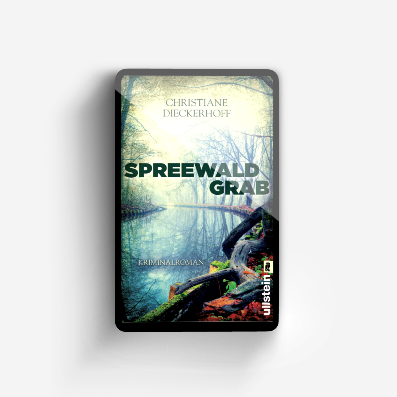 Buchcover von Spreewaldgrab (Ein-Fall-für-Klaudia-Wagner 1)