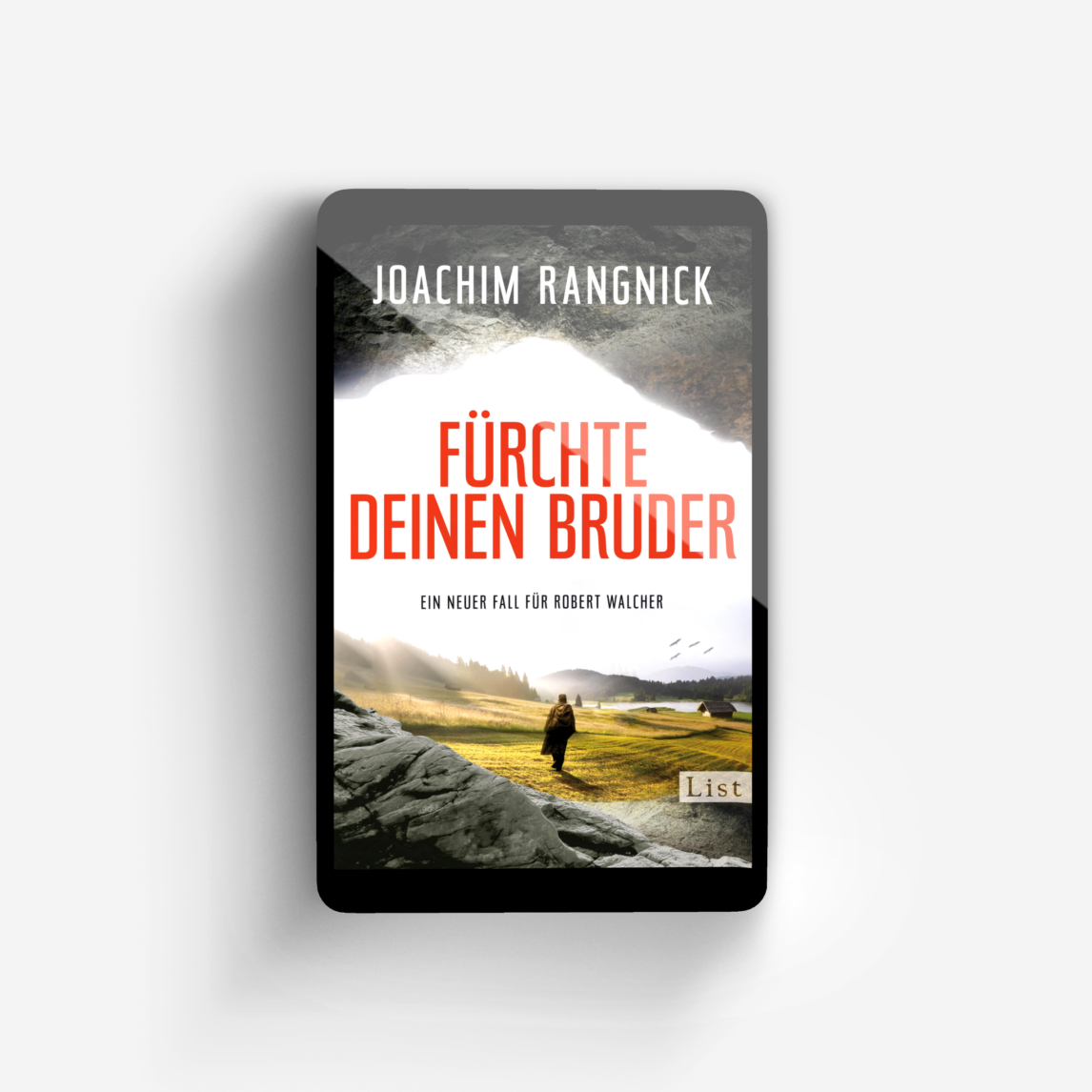 Buchcover von Fürchte deinen Bruder (Ein Robert-Walcher-Krimi 10)