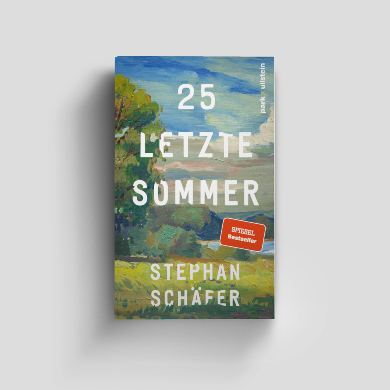 Buchcover von 25 letzte Sommer