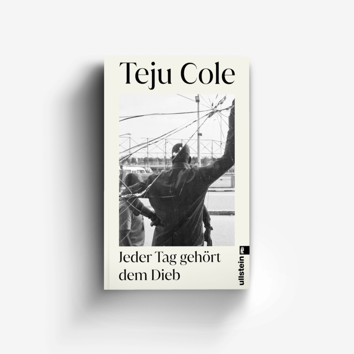 Buchcover von Jeder Tag gehört dem Dieb