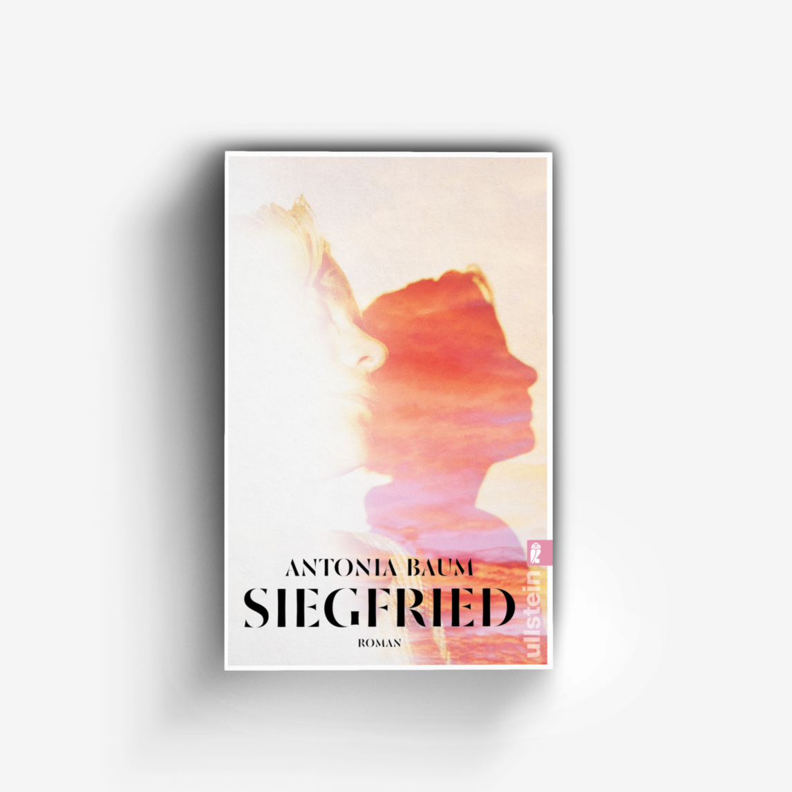 Buchcover von Siegfried