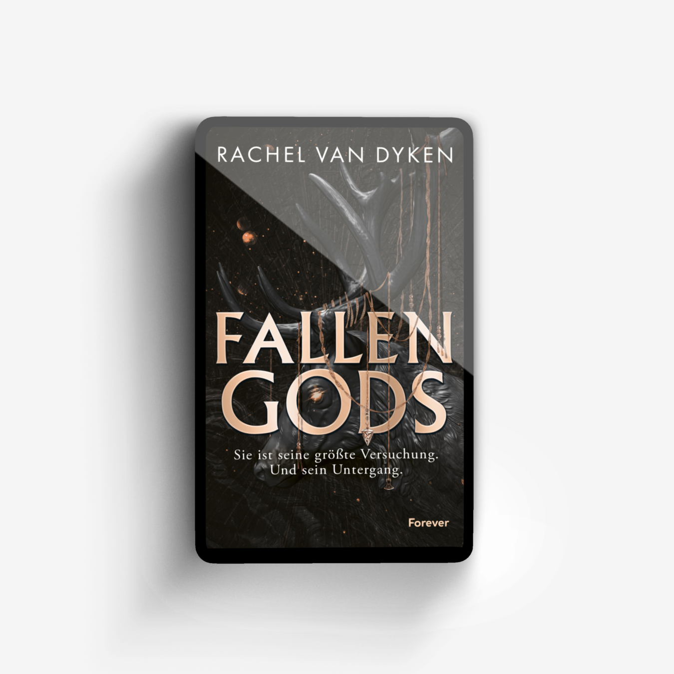 Buchcover von Fallen Gods (Fallen Gods 1)