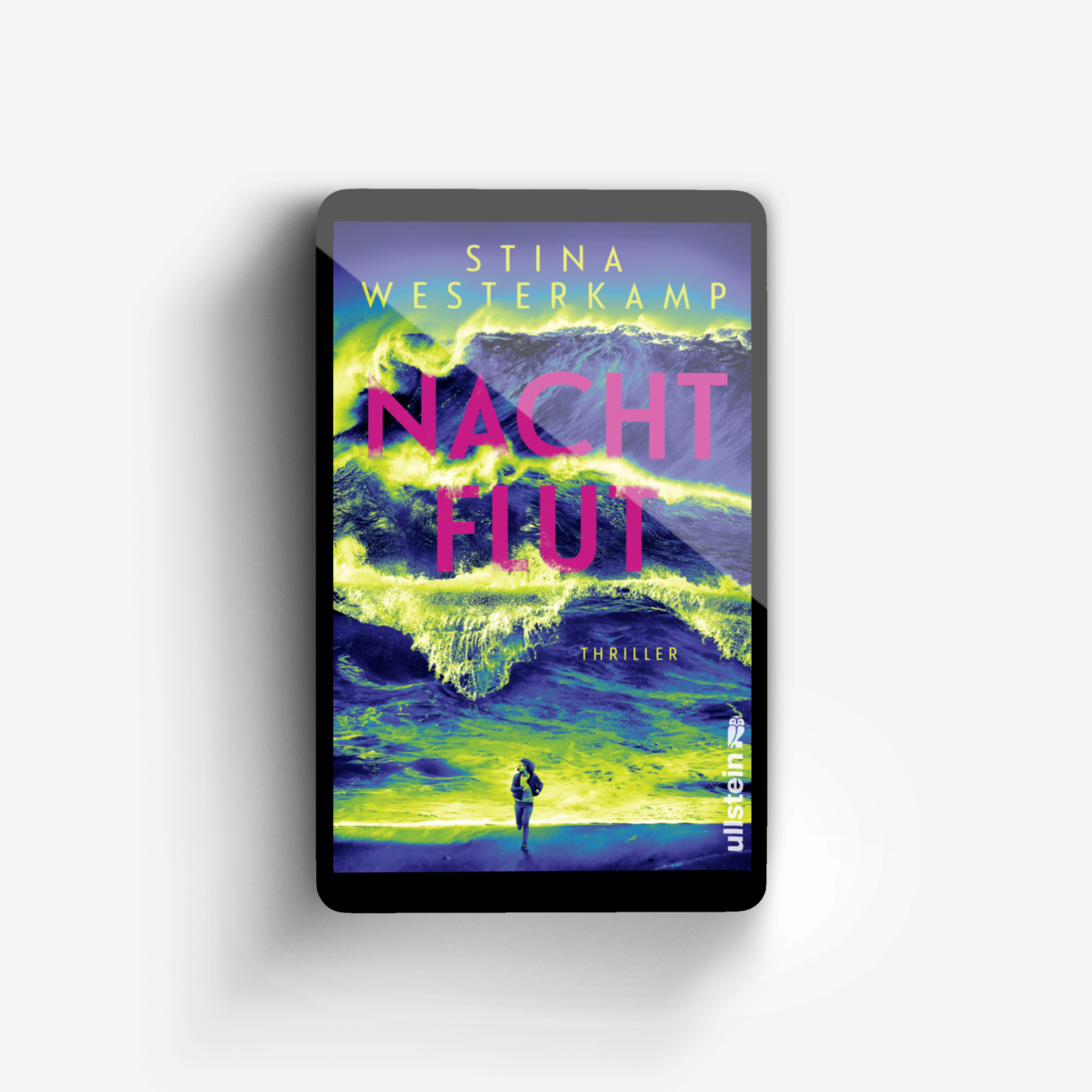 Buchcover von Nachtflut