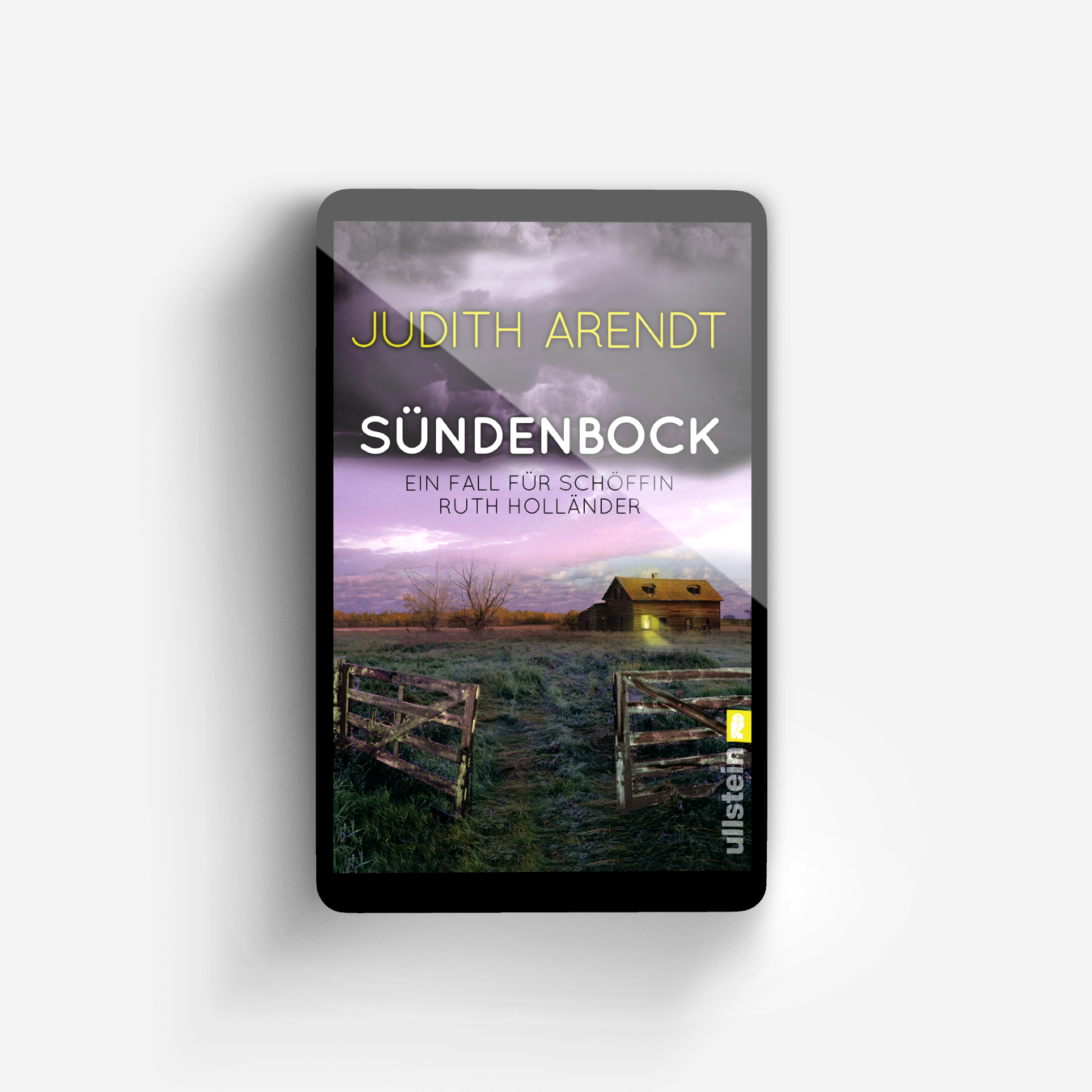 Buchcover von Sündenbock (Ein Fall für Schöffin Ruth Holländer 2)