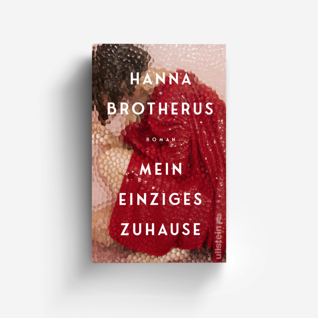 Buchcover von Mein einziges Zuhause