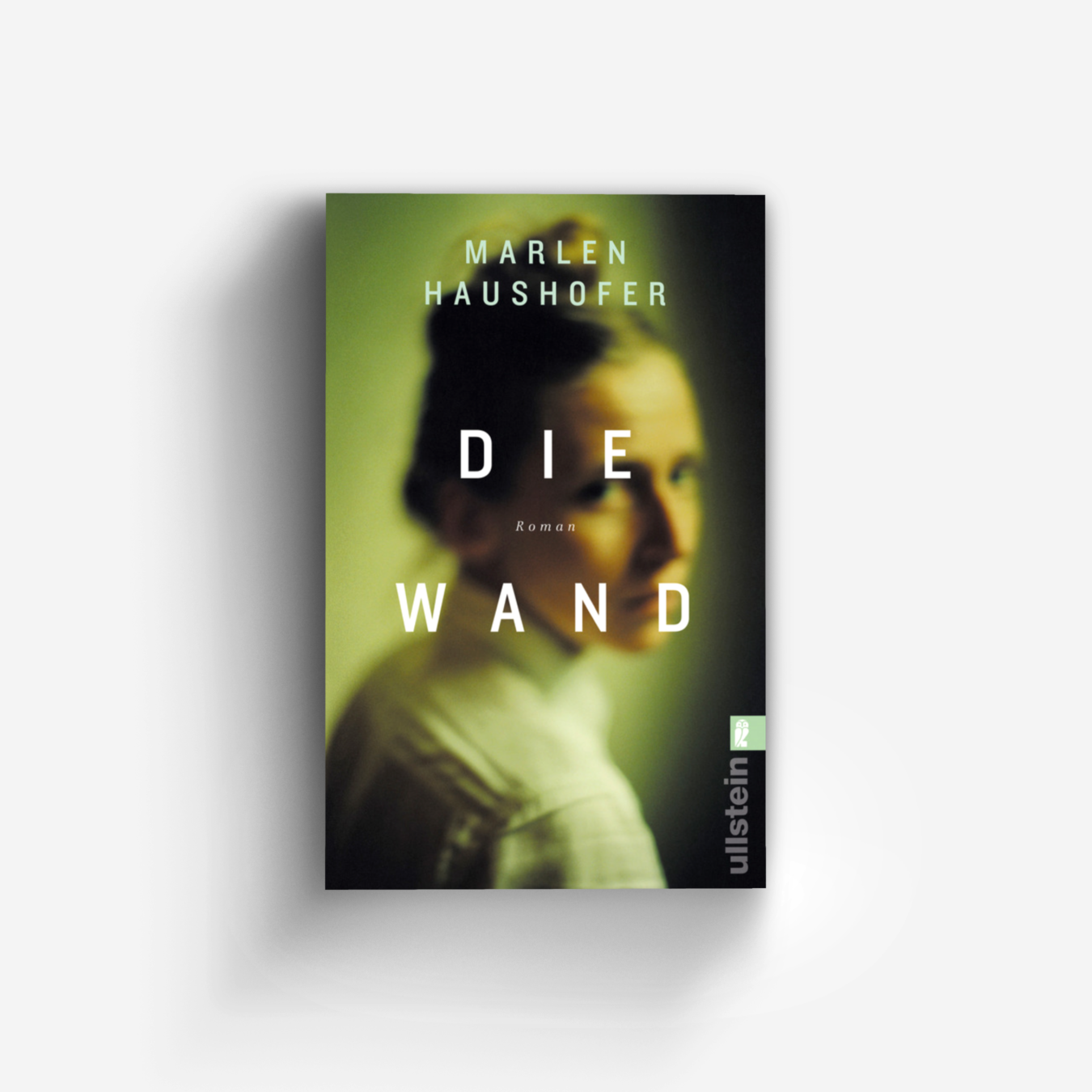 Buchcover von Die Wand