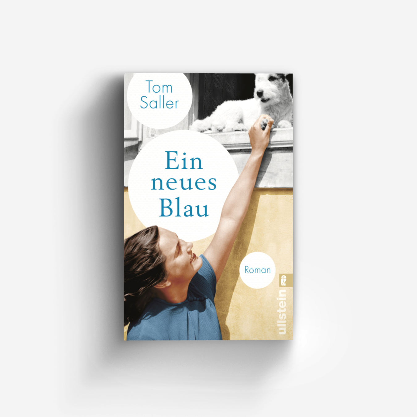 Buchcover von Ein neues Blau