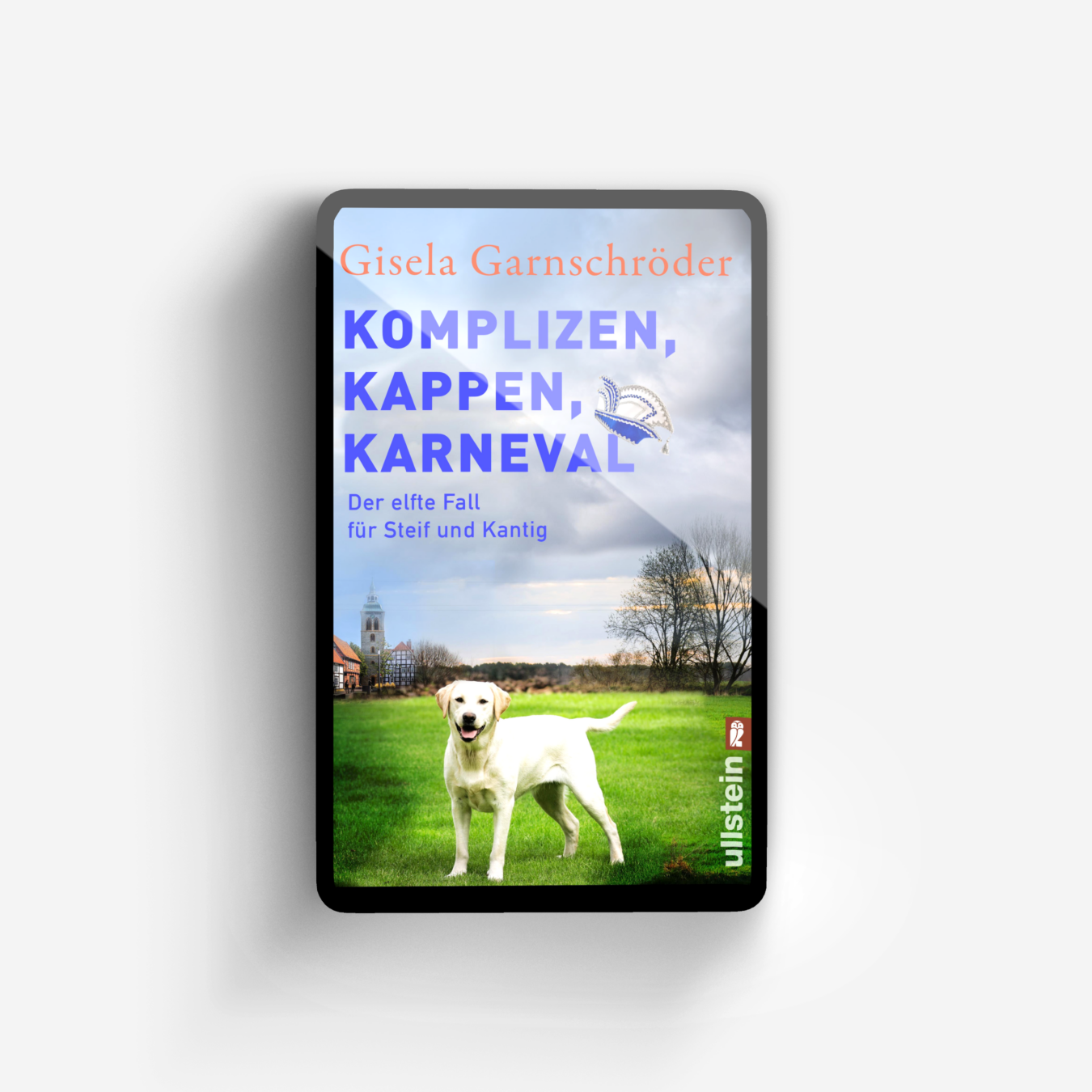 Buchcover von Komplizen, Kappen, Karneval (Ein-Steif-und-Kantig-Krimi 11)
