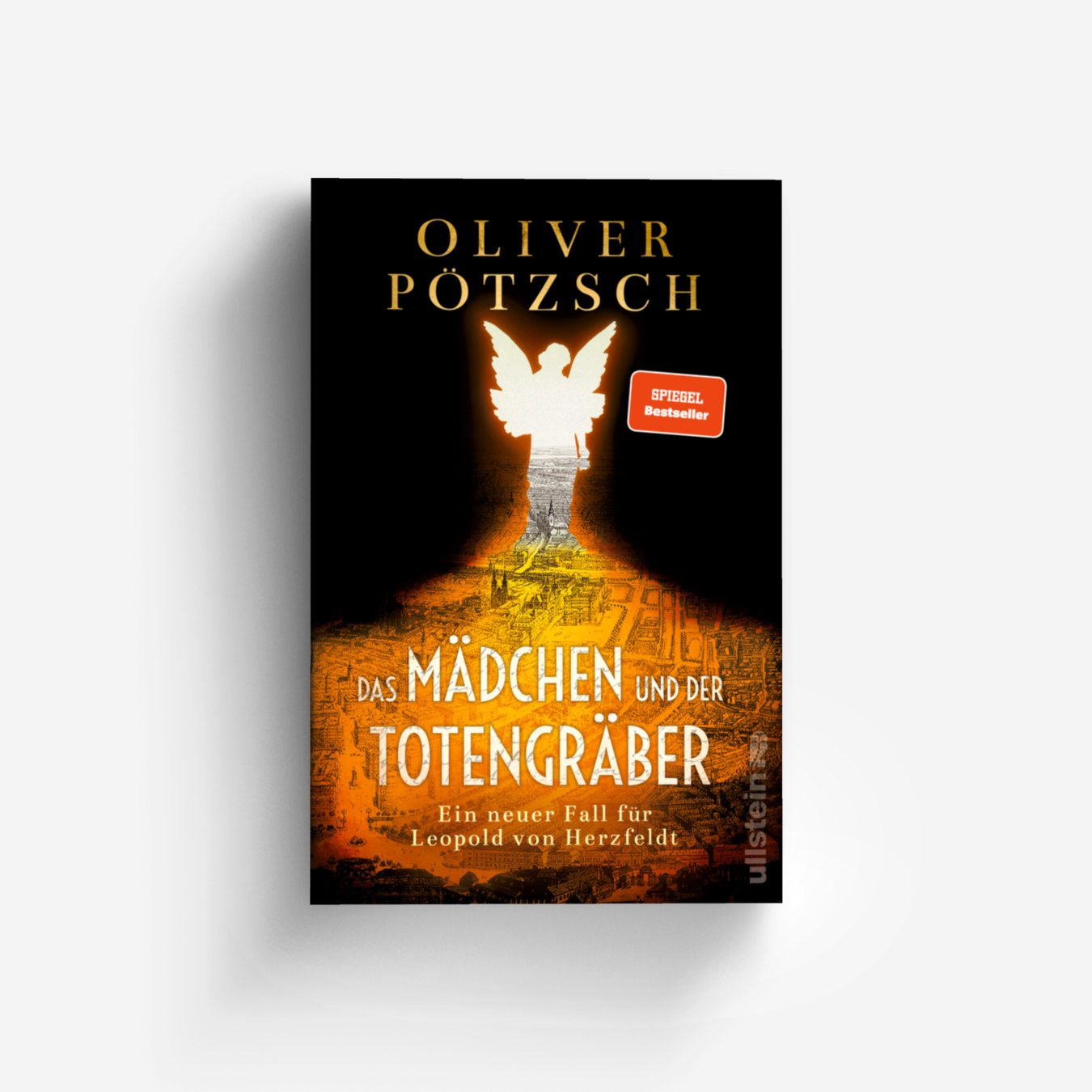 Buchcover von Das Mädchen und der Totengräber (Die Totengräber-Serie 2)