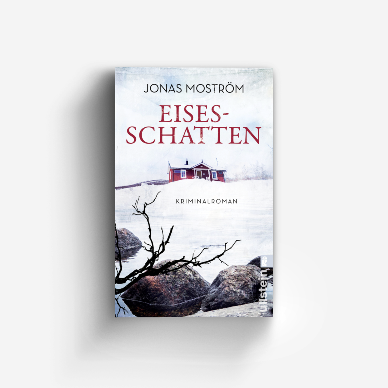 Buchcover von Eisesschatten (Ein Nathalie-Svensson-Krimi 5)