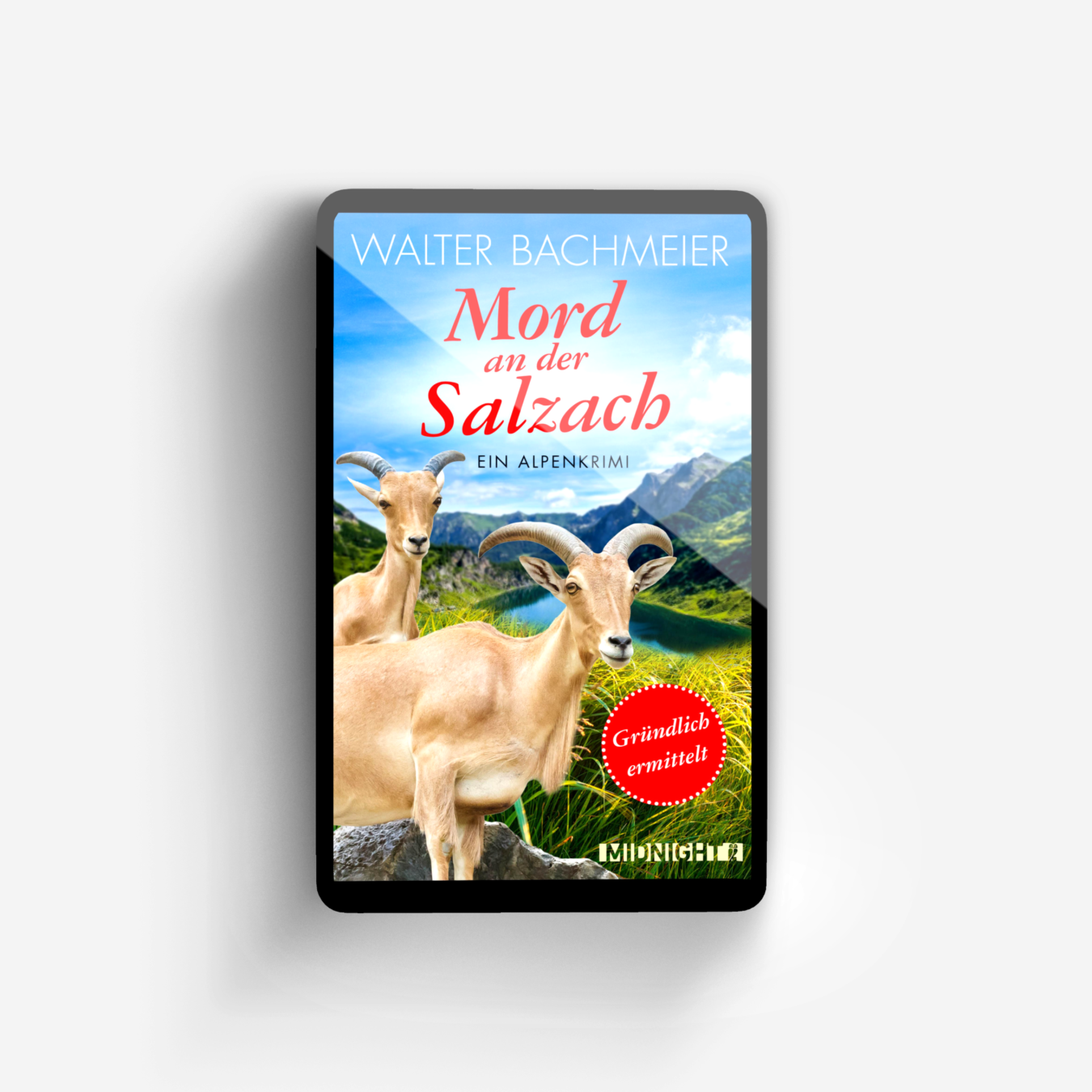 Buchcover von Mord an der Salzach (Ein-Tina-Gründlich-Krimi 2)