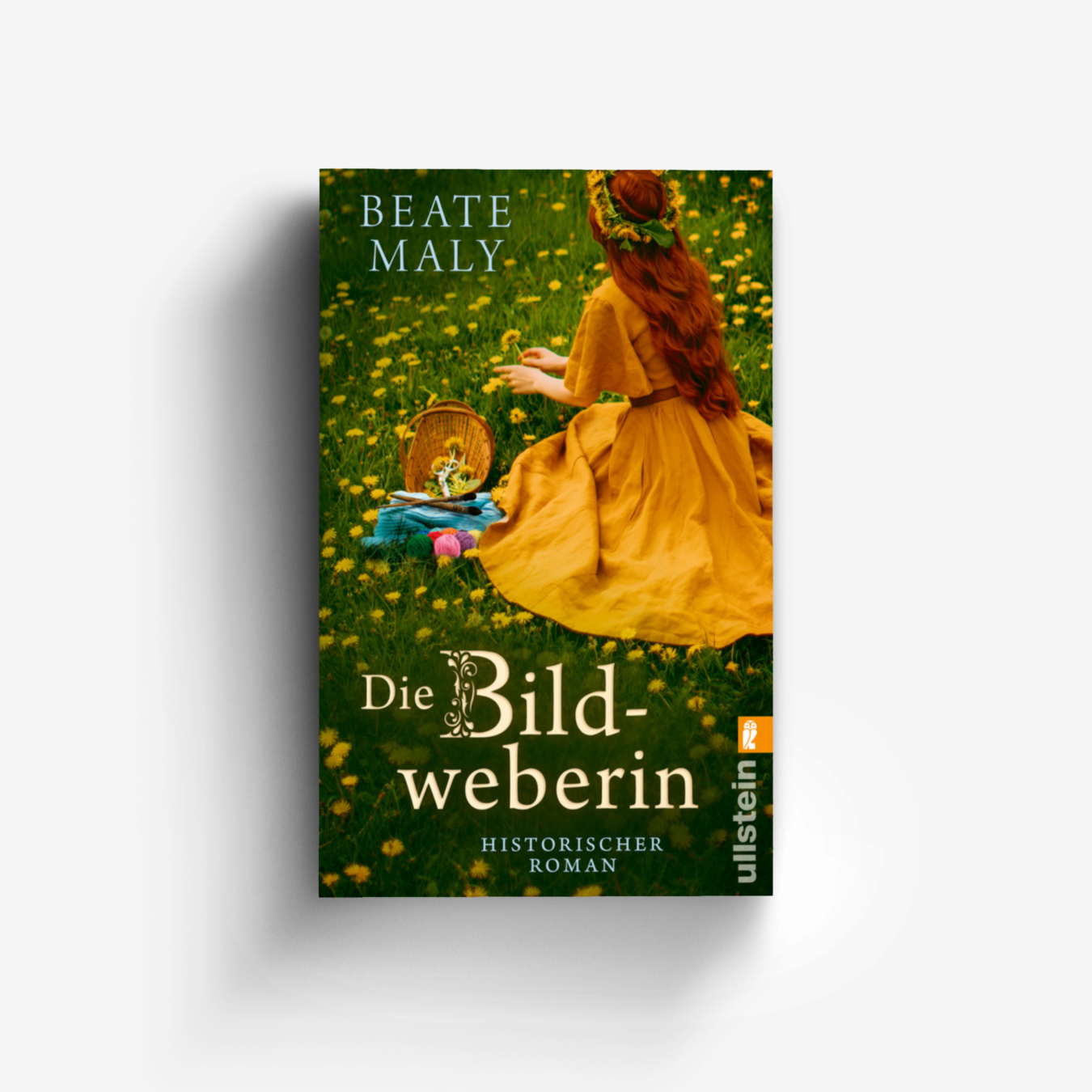 Buchcover von Die Bildweberin