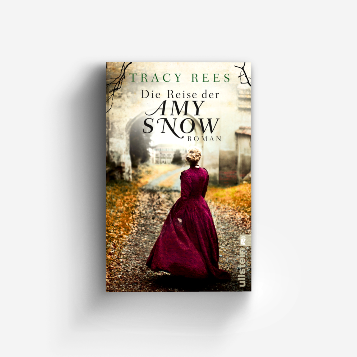Buchcover von Die Reise der Amy Snow