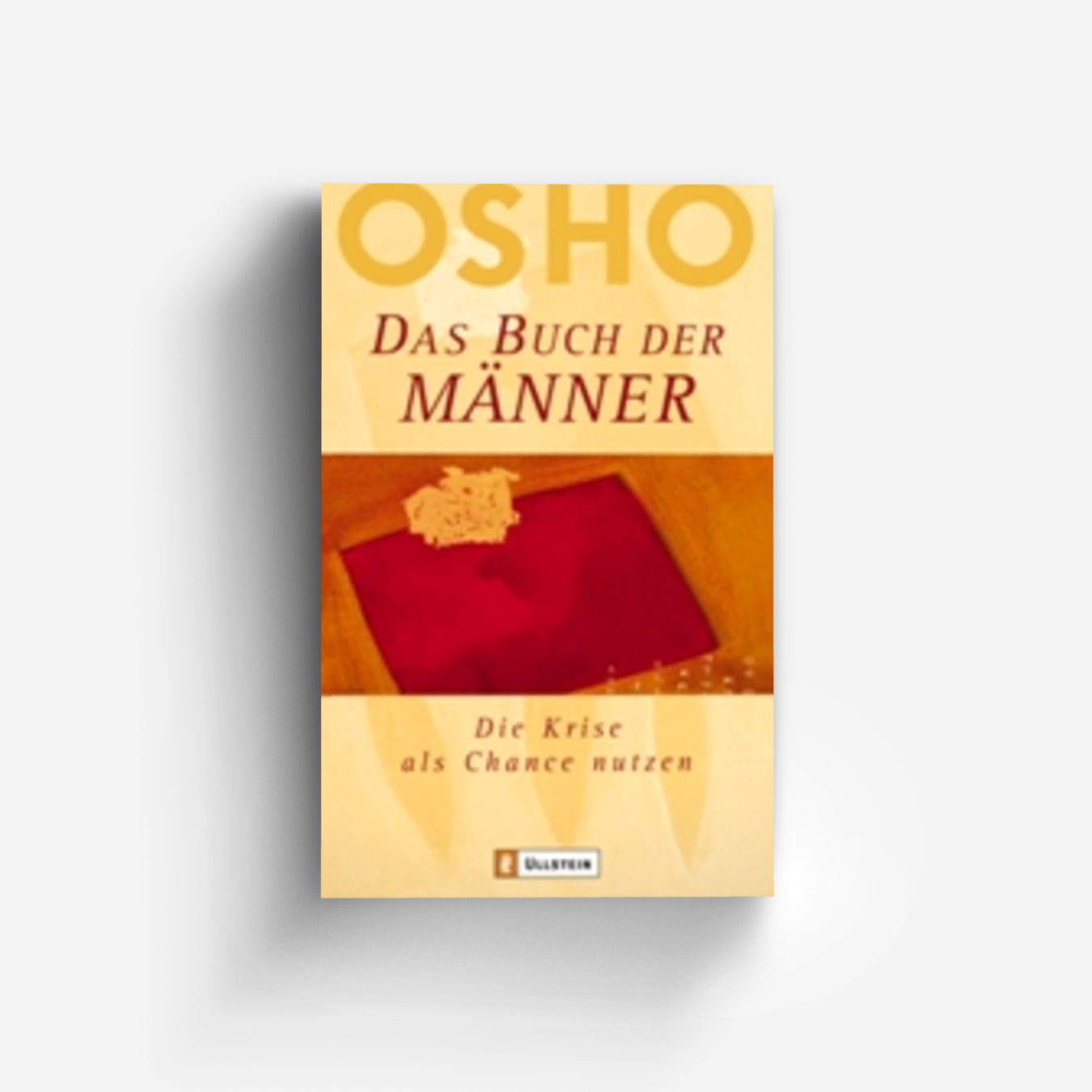 Buchcover von Das Buch der Männer