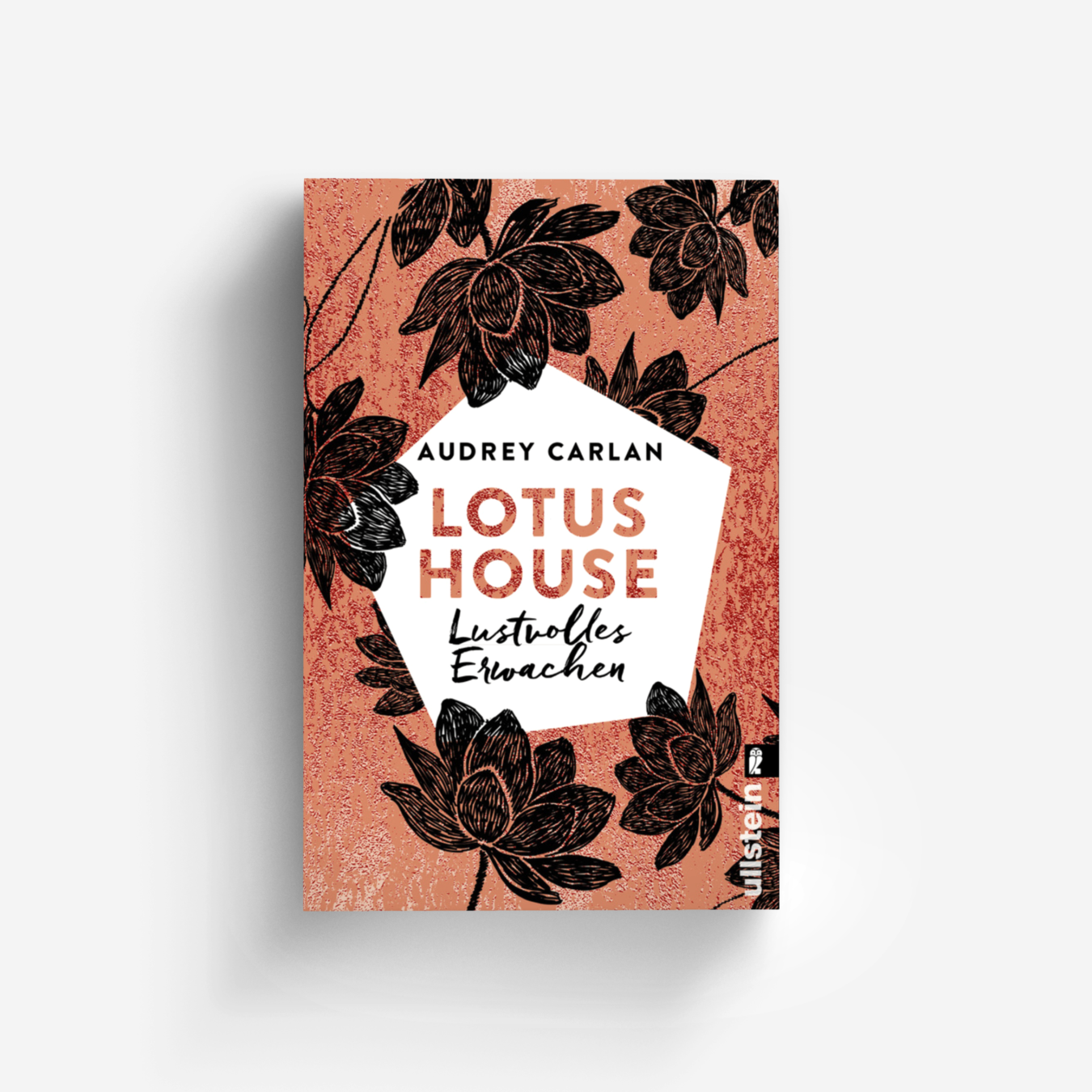 Buchcover von Lotus House - Lustvolles Erwachen (Die Lotus House-Serie 1)