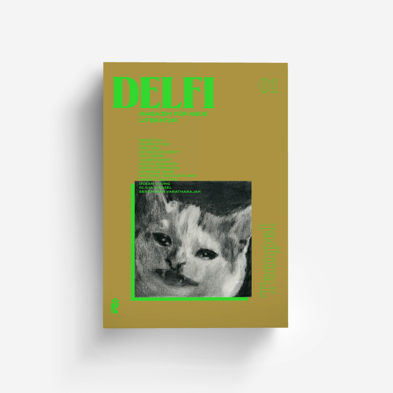 Buchcover von Delfi Tempel (Delfi 1)
