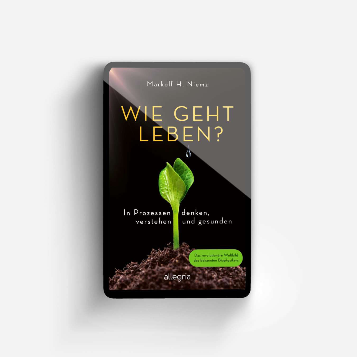 Buchcover von Wie geht leben?