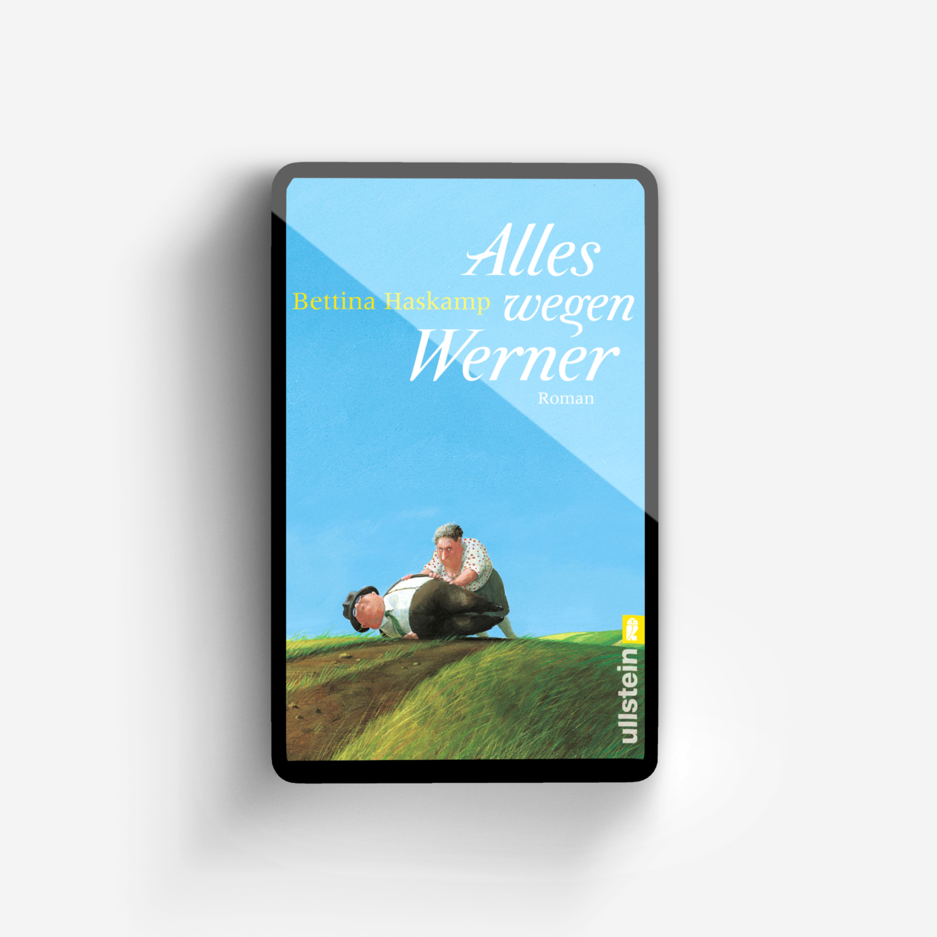 Buchcover von Alles wegen Werner