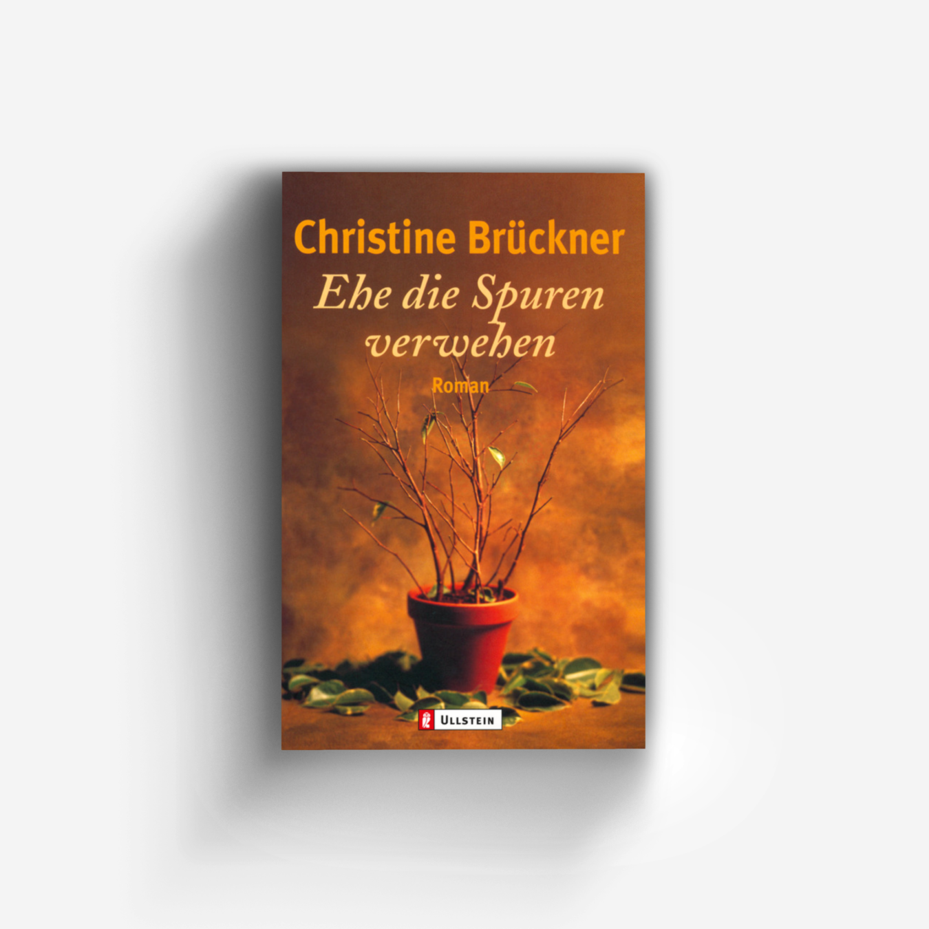 Buchcover von Ehe die Spuren verwehen