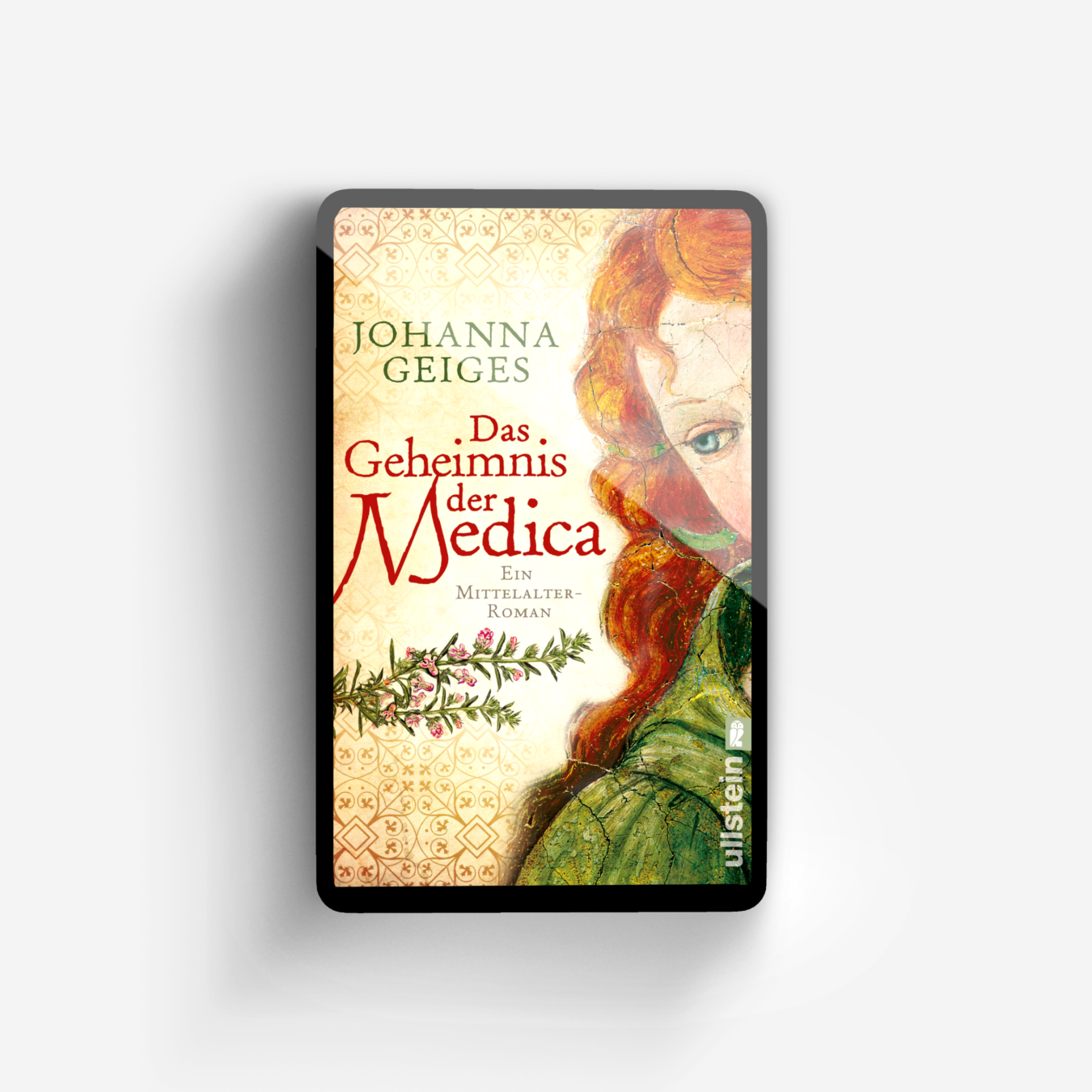 Buchcover von Das Geheimnis der Medica (Die Medica-Serie 1)