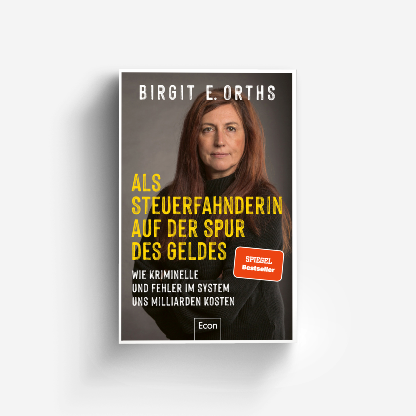 Buchcover von Als Steuerfahnderin auf der Spur des Geldes