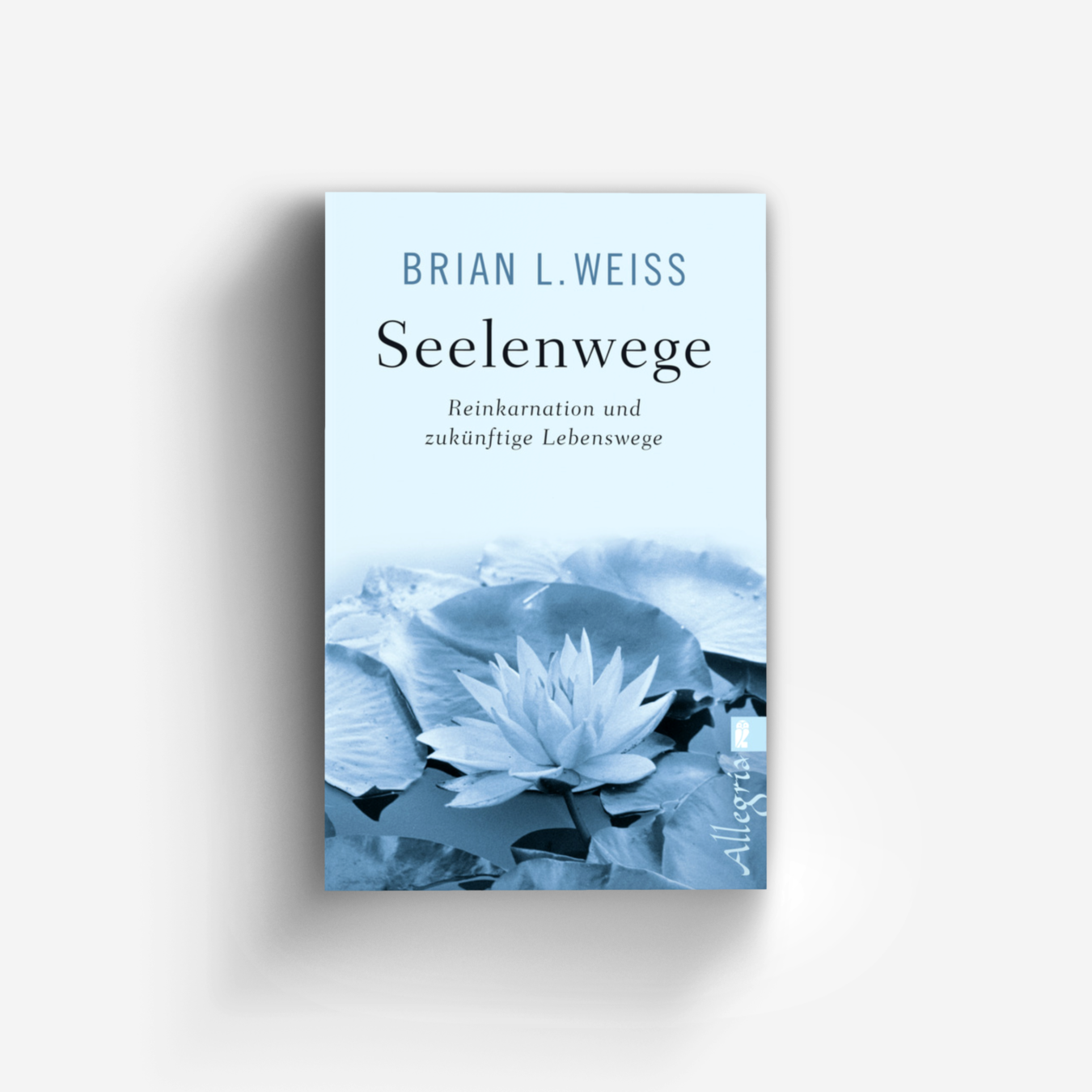 Buchcover von Seelenwege