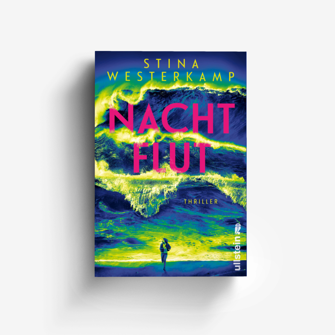 Buchcover von Nachtflut