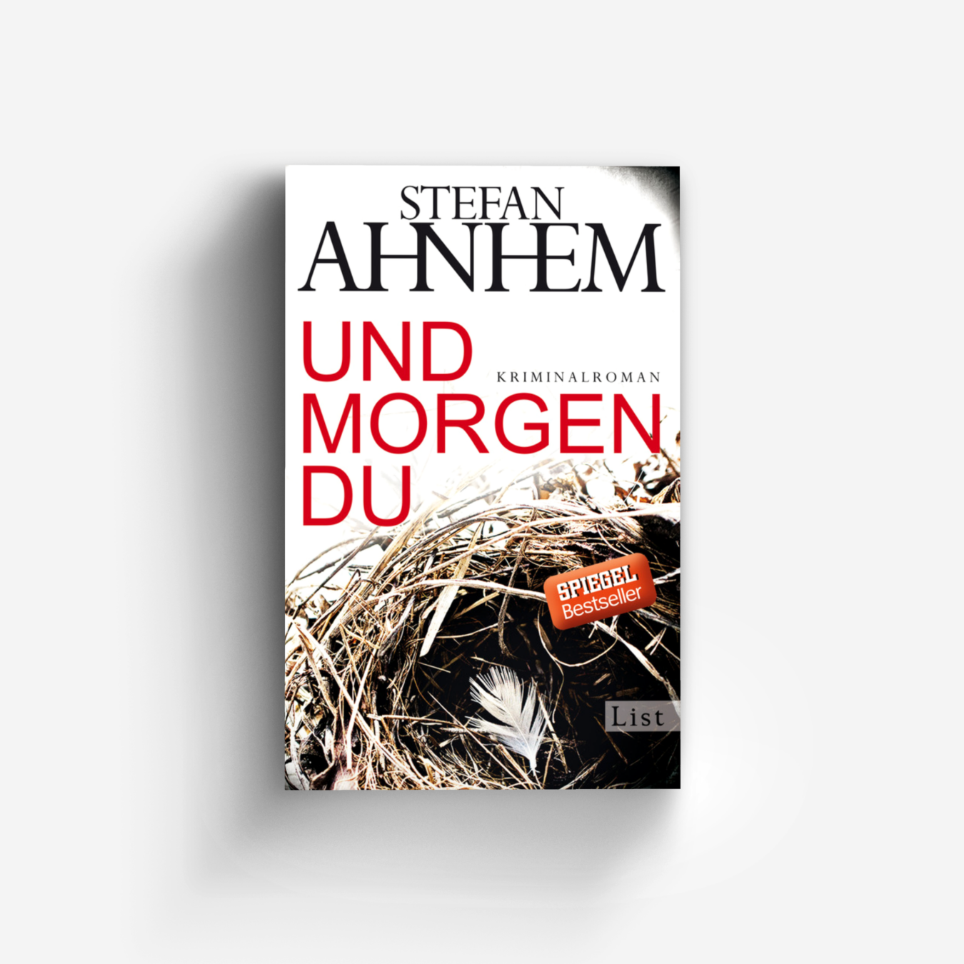 Buchcover von Und morgen du (Ein Fabian-Risk-Krimi 1)