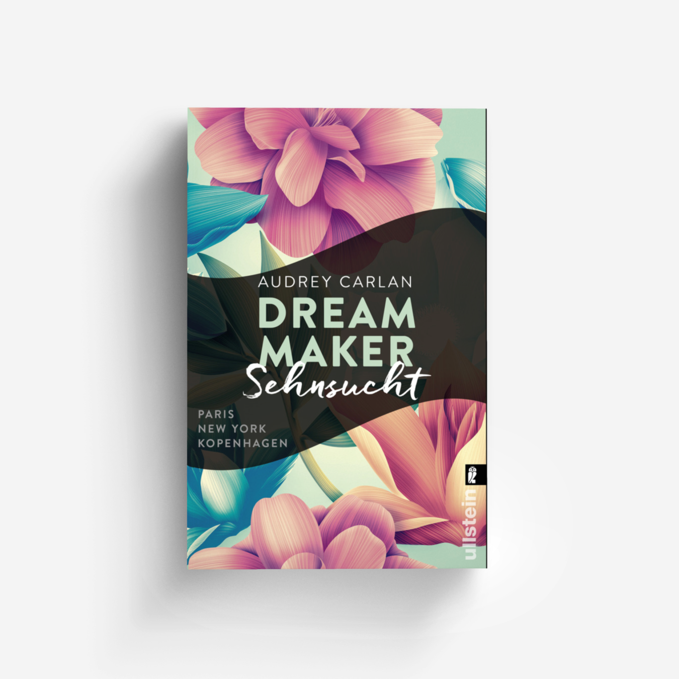Buchcover von Dream Maker - Sehnsucht (The Dream Maker 1)