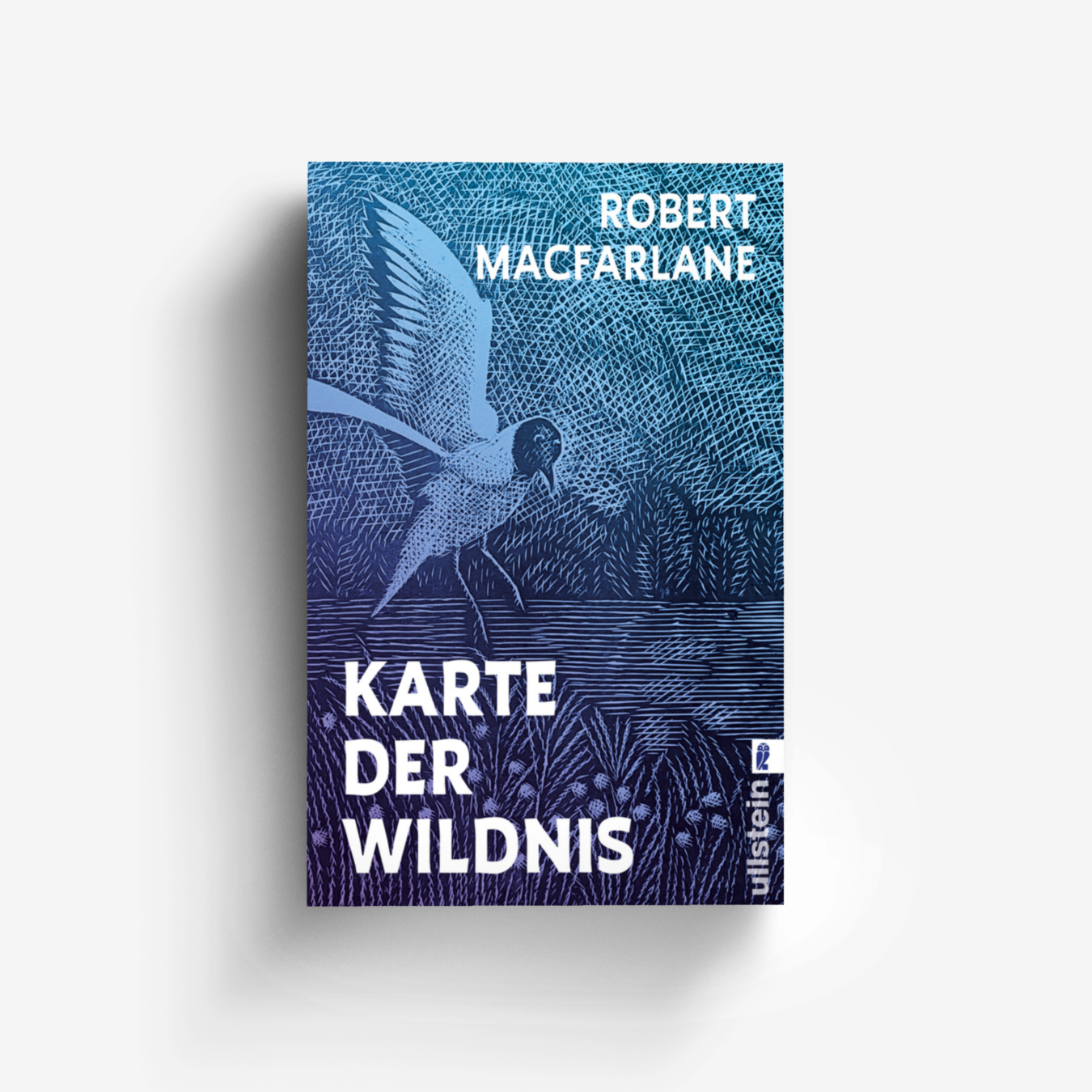 Buchcover von Karte der Wildnis