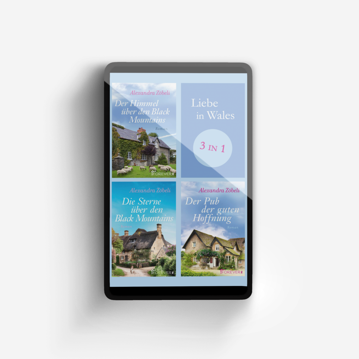 Buchcover von Liebe in Wales