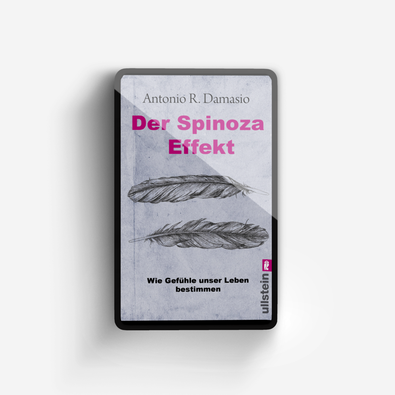 Buchcover von Der Spinoza-Effekt