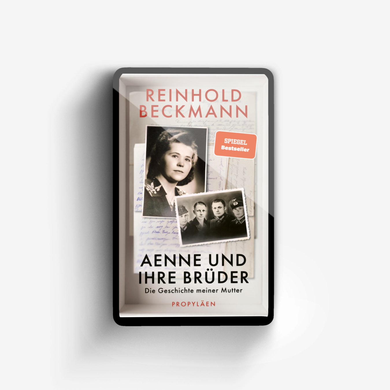 Buchcover von Aenne und ihre Brüder