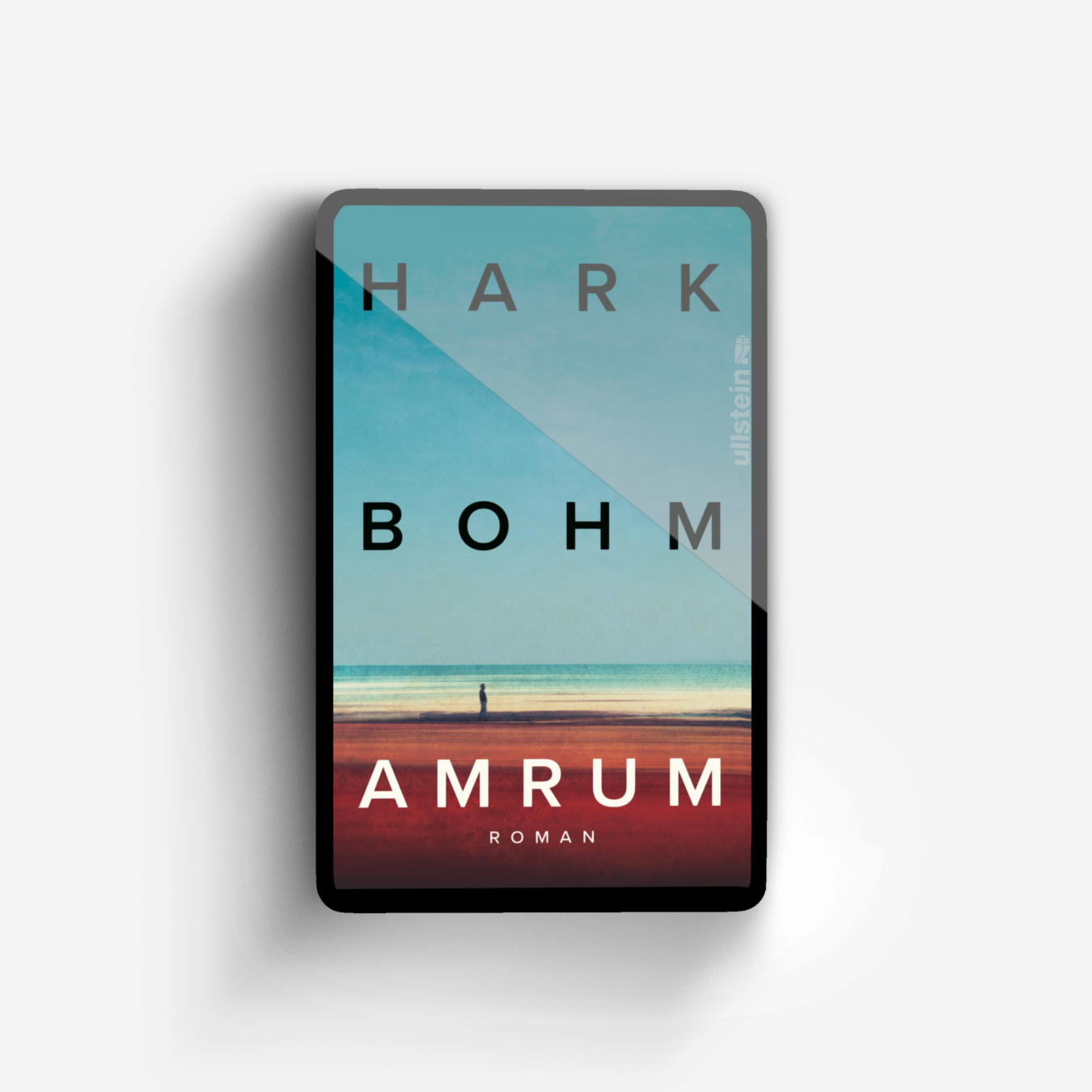 Buchcover von Amrum