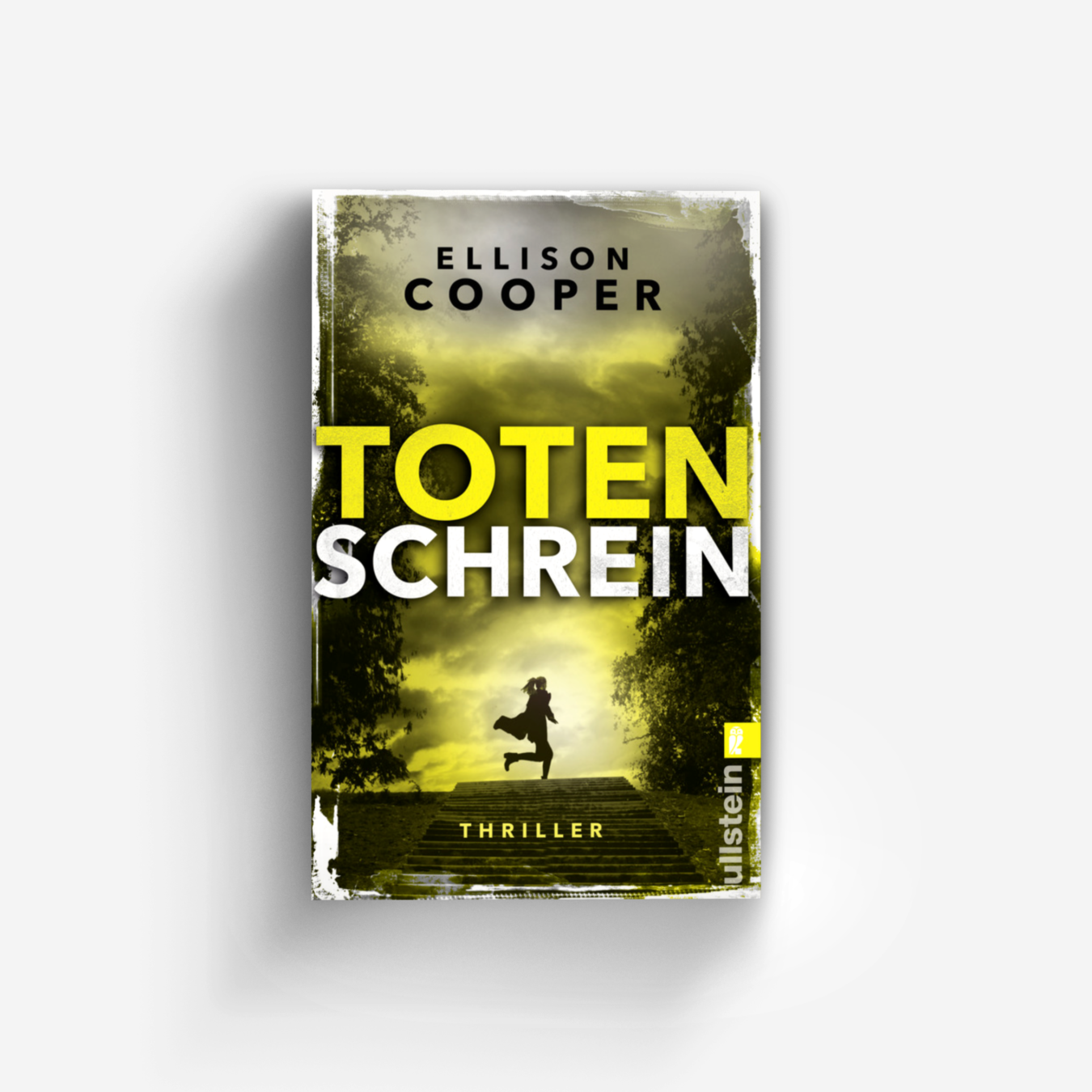 Buchcover von Totenschrein (Ein Sayer-Altair-Thriller 3)