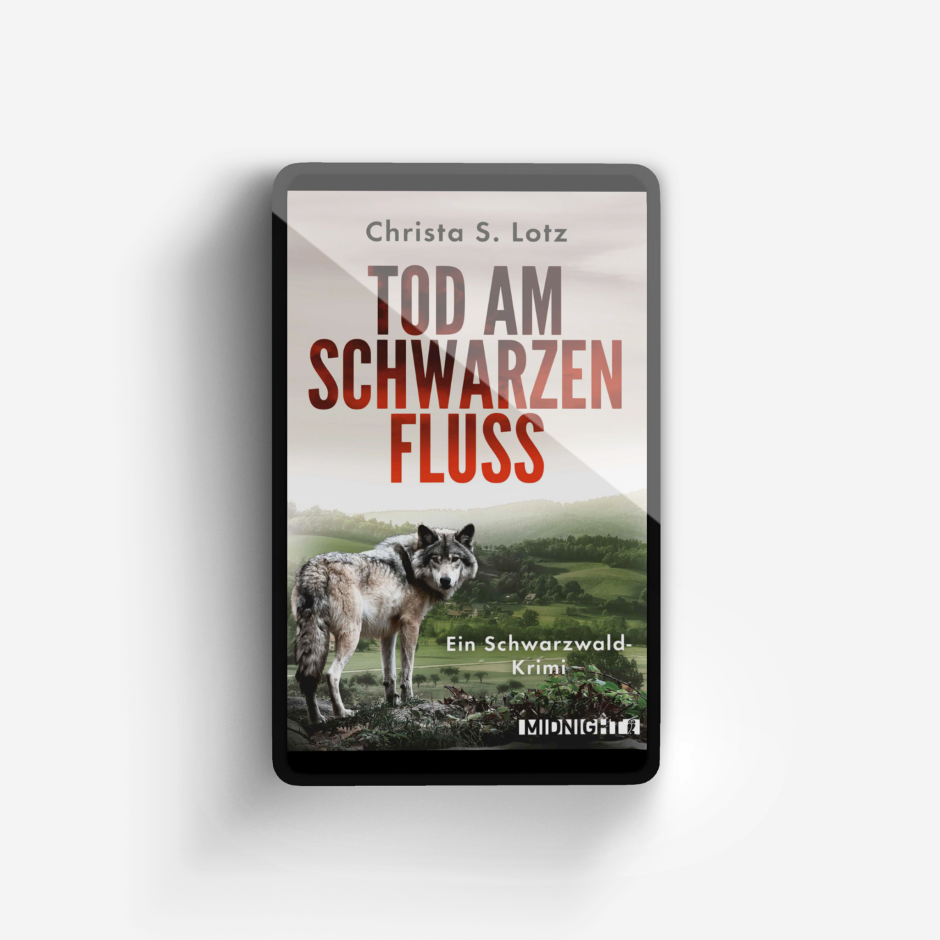 Buchcover von Tod am schwarzen Fluss (Lisa Faber ermittelt 2)