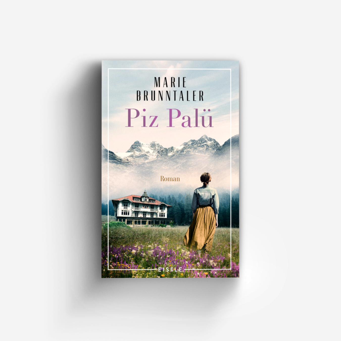 Buchcover von Piz Palü