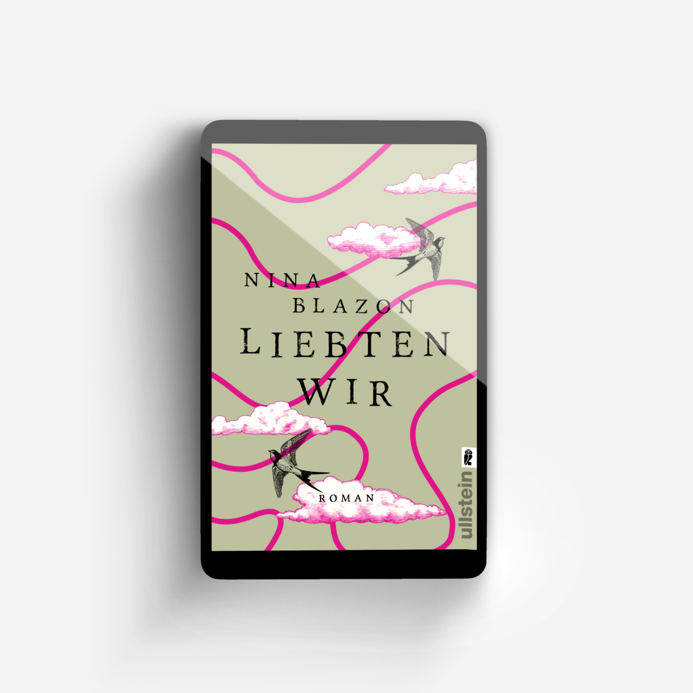 Buchcover von Liebten wir