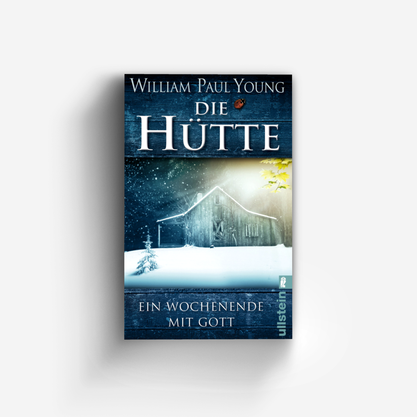 Buchcover von Die Hütte